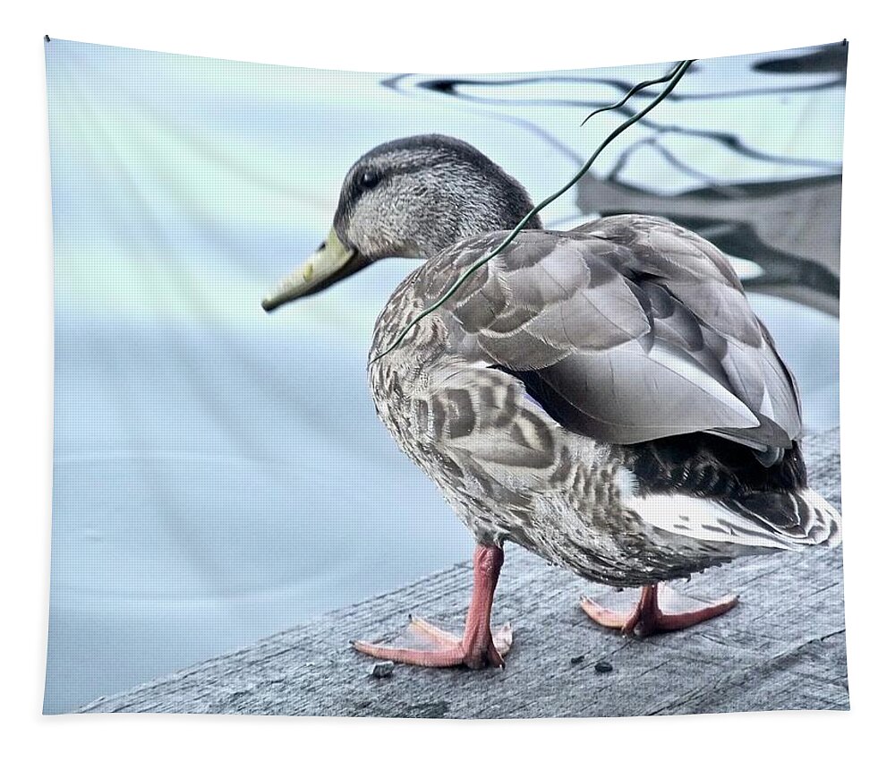 Duck Tapestry featuring the photograph Duck Decisions by Kathy Ozzard Chism
