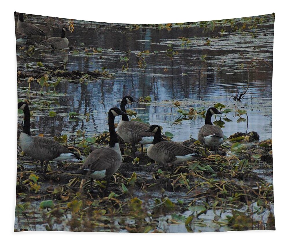 Ducks Tapestry featuring the photograph Duck Gathering by Antonio Moore
