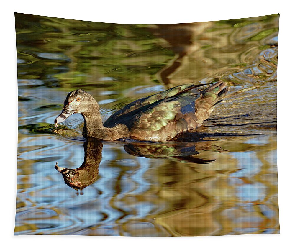 Duck Tapestry featuring the photograph Duck Speed Swimming by Margaret Zabor