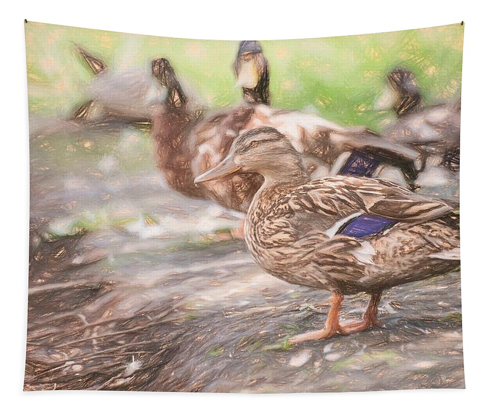 Duck Tapestry featuring the photograph Ducks on Shore Colored Pencil by Don Northup