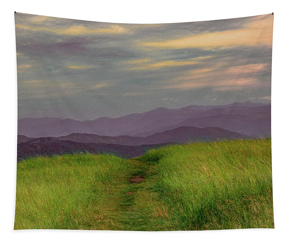Appalachian Trail Tapestry featuring the photograph Dusk Along the Appalachian Trail by Marcy Wielfaert