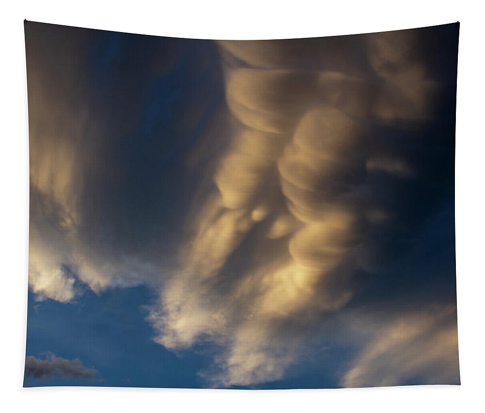 Nebraskasc Tapestry featuring the photograph Dying Thunderstorms at Sunset 015 by NebraskaSC