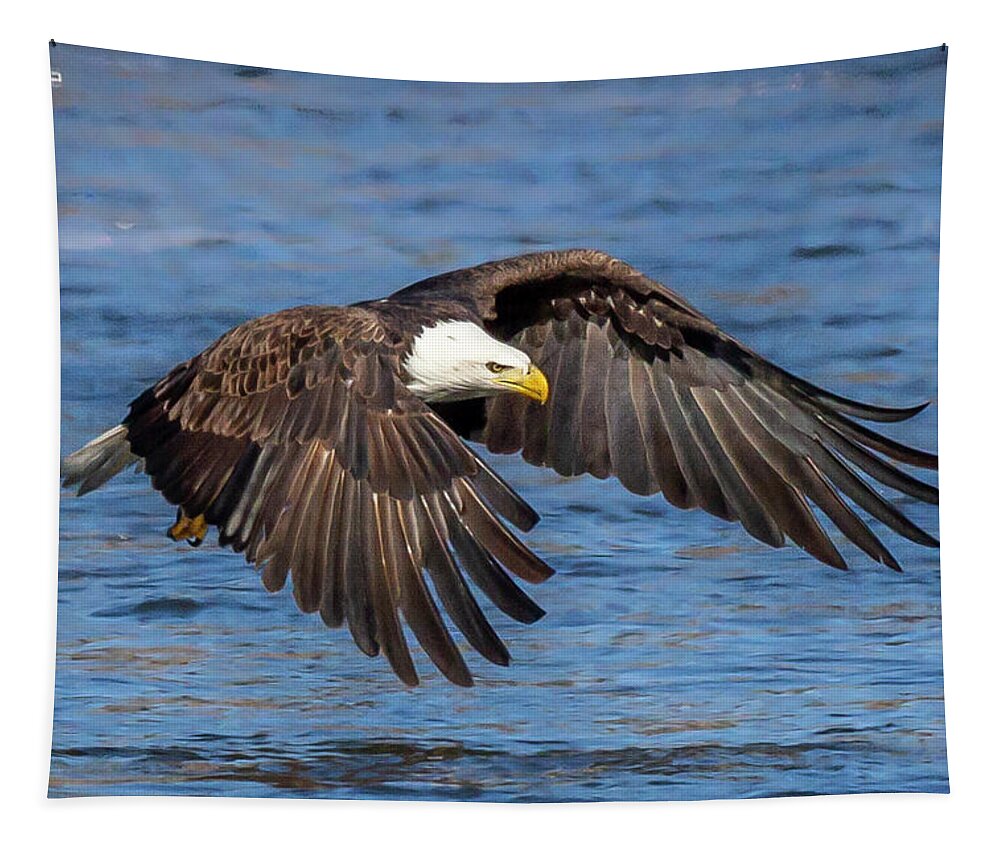 Eagle Tapestry featuring the photograph Eagle Power by David Wagenblatt