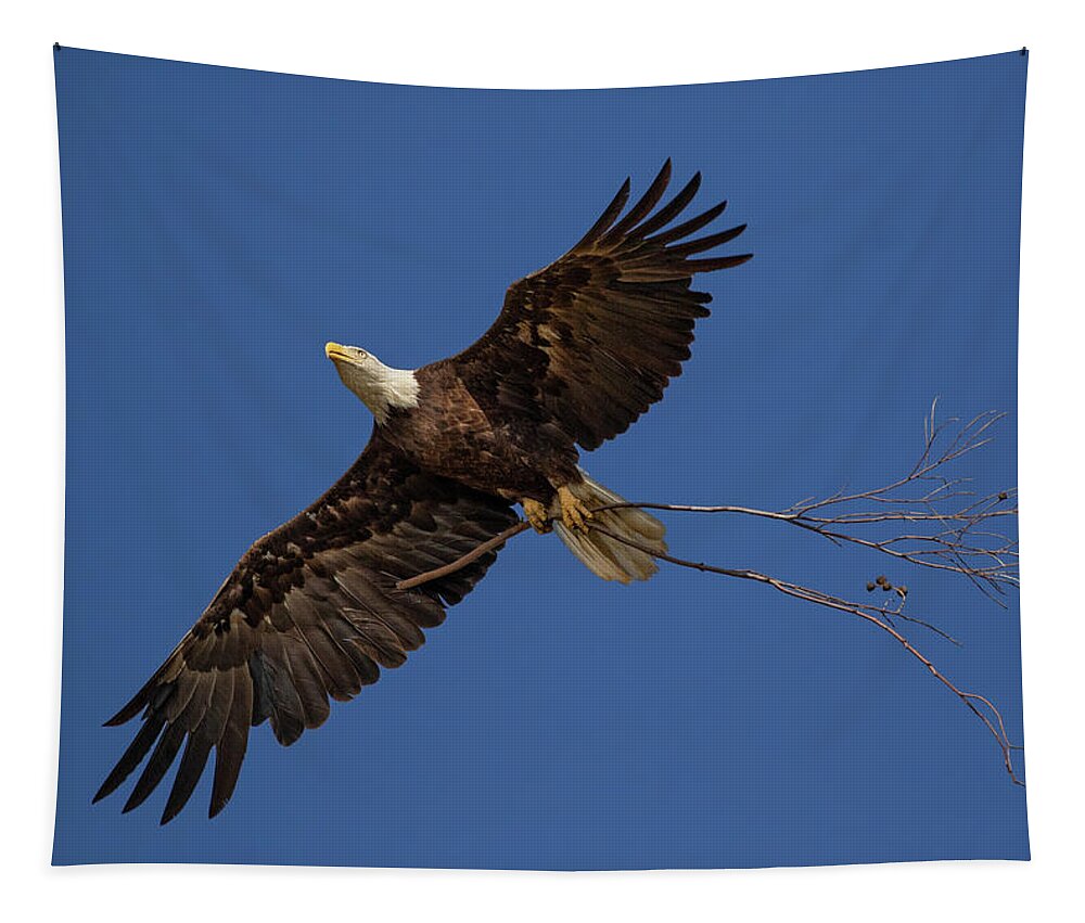 Bald Eagle Tapestry featuring the photograph Eagle Snag by Beth Sargent