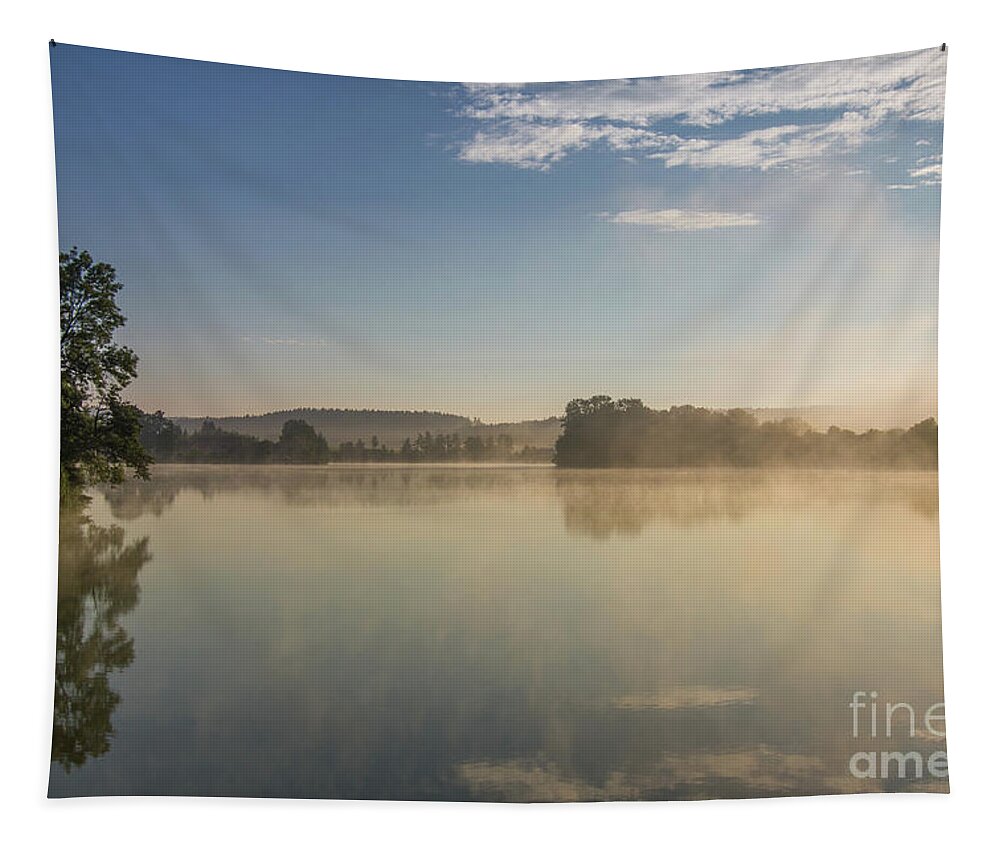 Pond Tapestry featuring the photograph Early morning at the pond by Michal Boubin