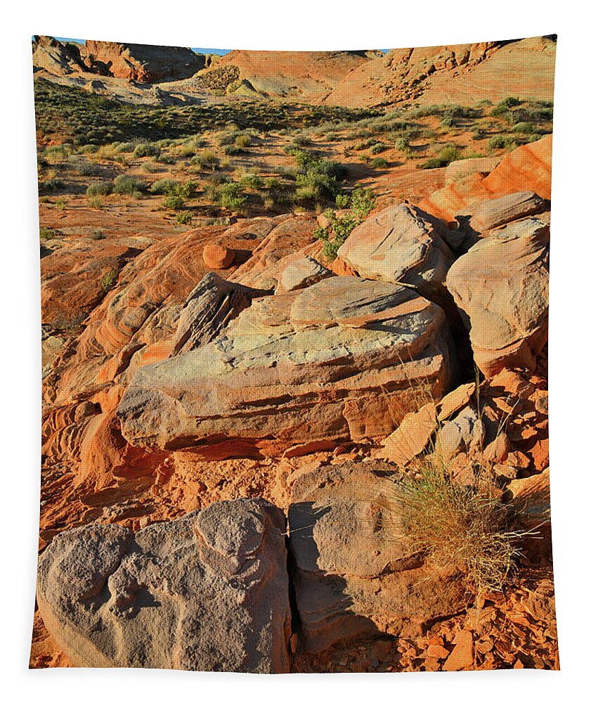 Valley Of Fire State Park Tapestry featuring the photograph Early Morning at Valley of Fire by Ray Mathis