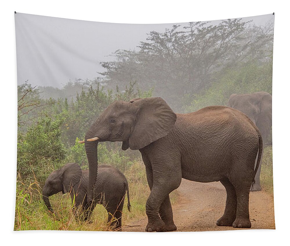 Hluhluwe-imfolozi Park Tapestry featuring the photograph Early Morning Elephants by Marcy Wielfaert