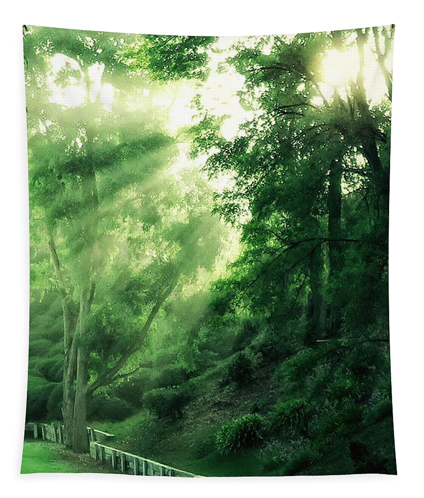 Forest Tapestry featuring the photograph Early morning forest glow by David Zumsteg