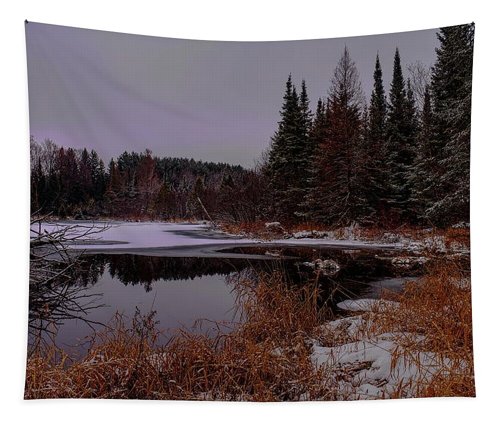 Pond Tapestry featuring the photograph Early Winter On A Spring Fed Pond by Dale Kauzlaric