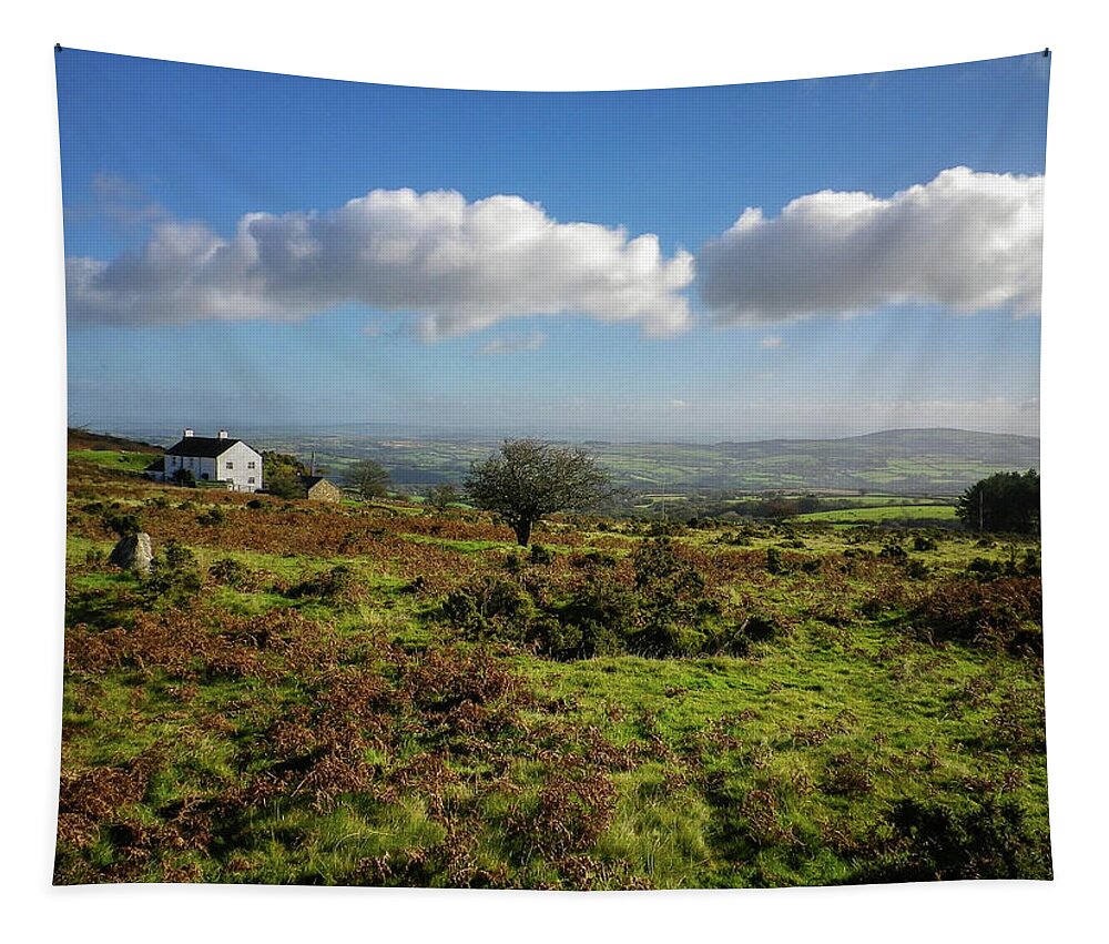 Caradon Hill Tapestry featuring the photograph East Caradon Hill Bodmin Moor Cornwall by Richard Brookes