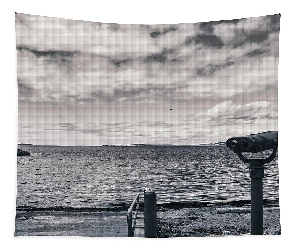 Black And White Tapestry featuring the photograph Edmonds Beach in Black and White by Anamar Pictures