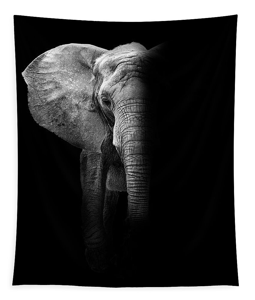 Elephant Tapestry featuring the photograph Elephant in the Dark by Deborah Penland
