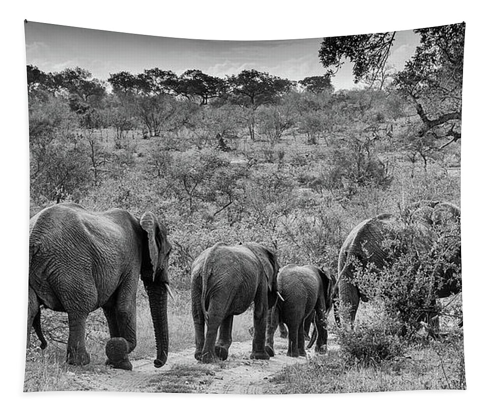 Elephants Tapestry featuring the photograph Elephants strolling by Mark Hunter