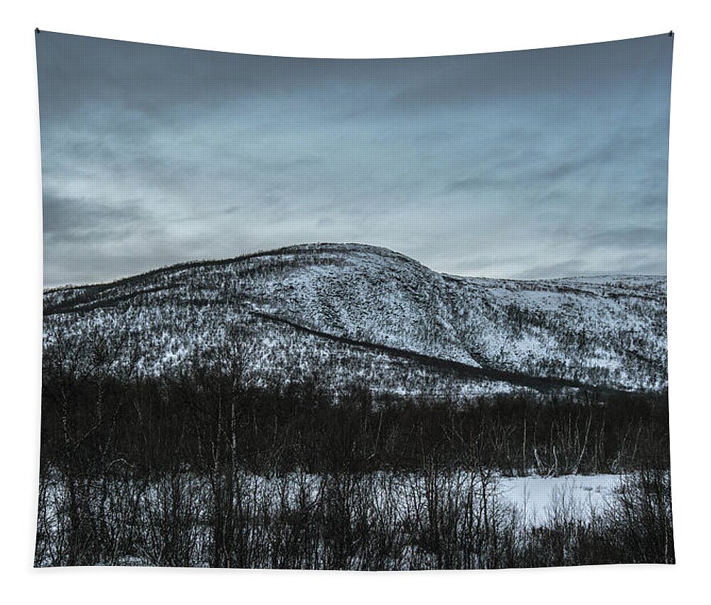 Landscape Tapestry featuring the photograph Eliascohkka by Pekka Sammallahti