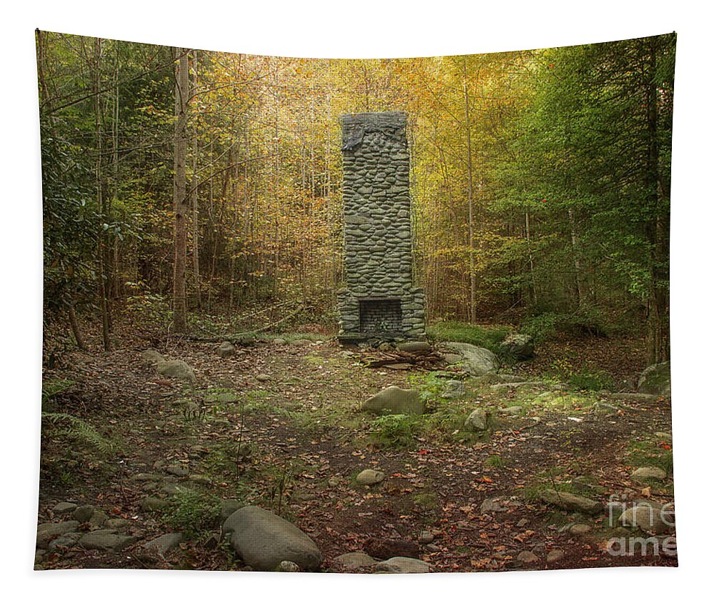 Elkmont Tapestry featuring the photograph Elkmont Chimney Remains 10 by Mike Eingle