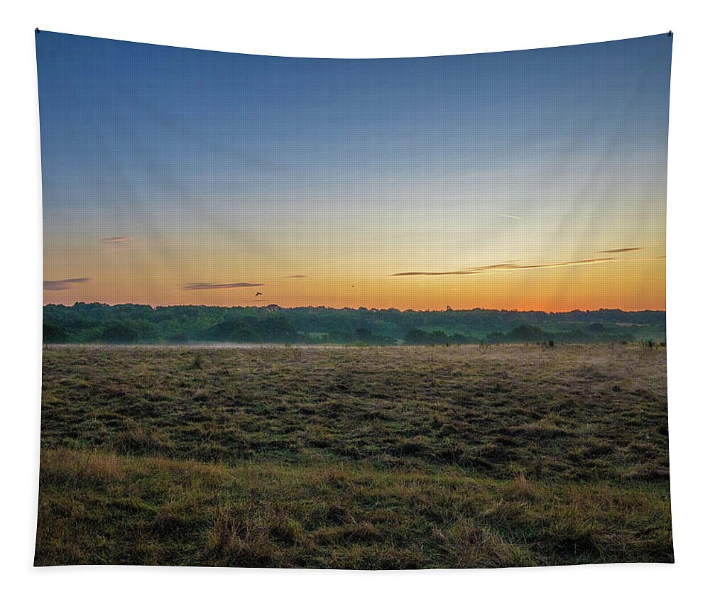 Countrylife Tapestry featuring the photograph Empty Space by Martin Newman