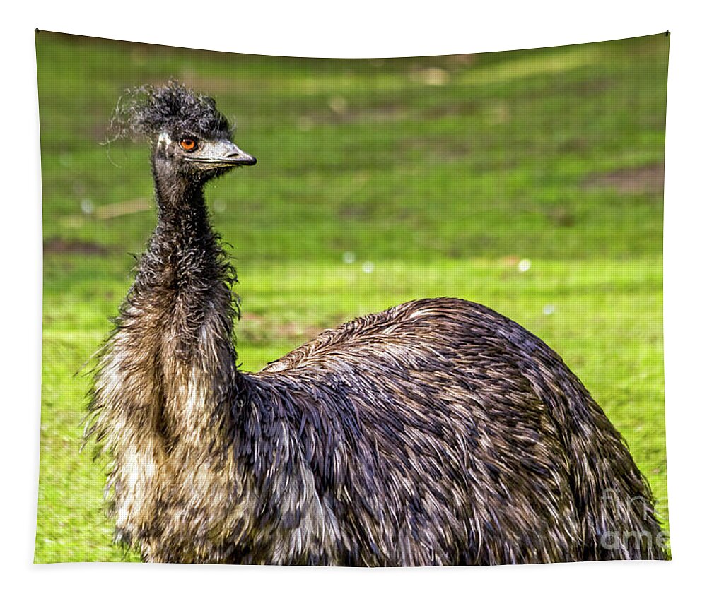 Emu Tapestry featuring the photograph Emu Do by Kate Brown