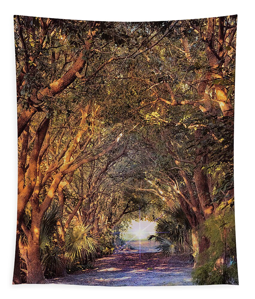 Trees Tapestry featuring the photograph Enchanted Pathway by John Rivera