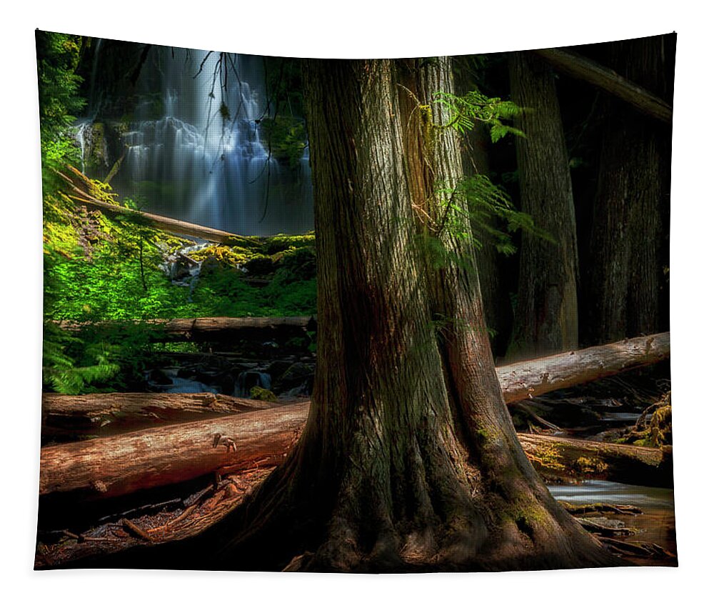 Tree Tapestry featuring the photograph Enchanting Forest by Cat Connor
