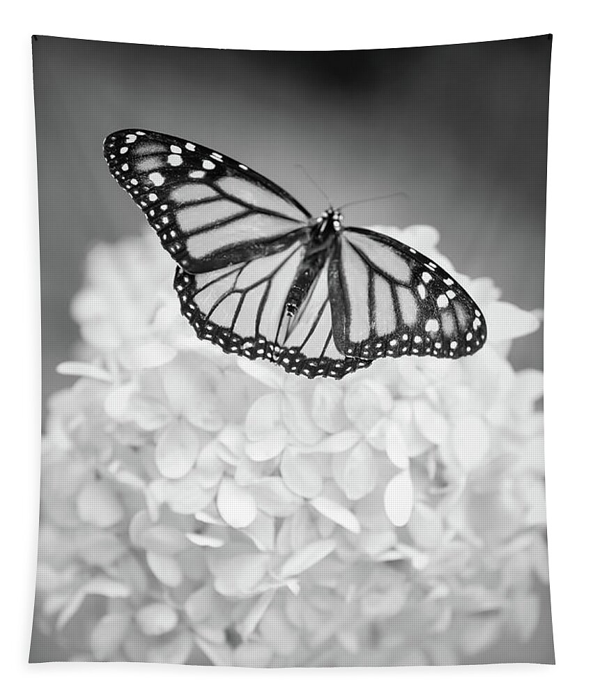 Butterfly Tapestry featuring the photograph Essence by Michelle Wermuth
