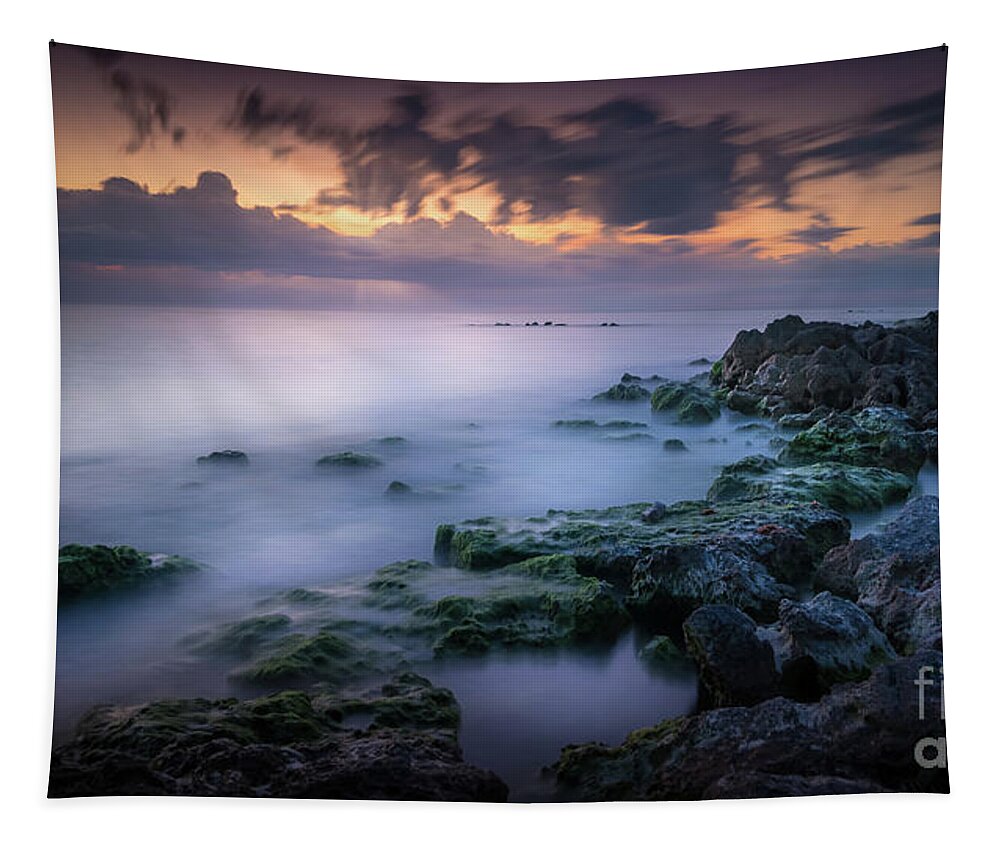 Gulf Of Mexico Tapestry featuring the photograph Ethereal Sunset at Caspersen Beach, Venice, Florida by Liesl Walsh