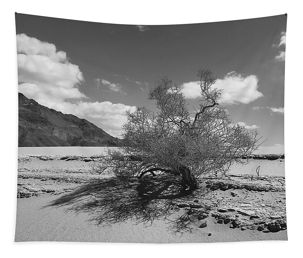 Death Valley Tapestry featuring the photograph Visions of Eureka Dunes by Joe Schofield