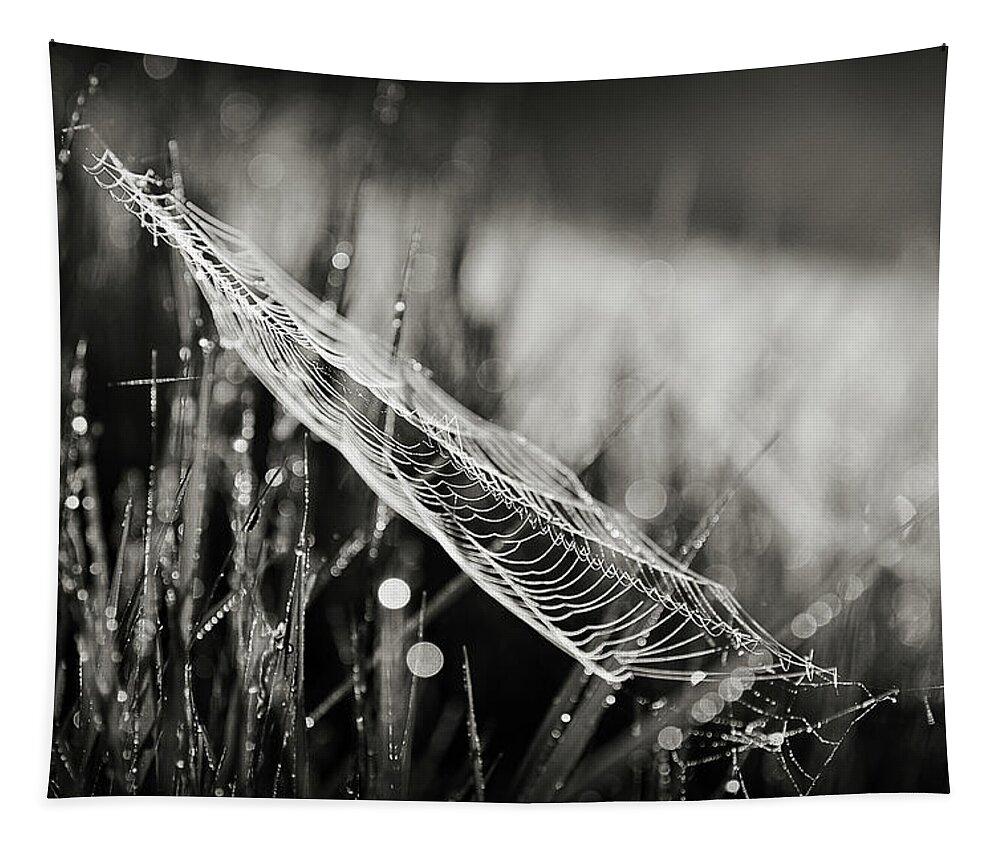 Black And White Tapestry featuring the photograph Everything by Michelle Wermuth