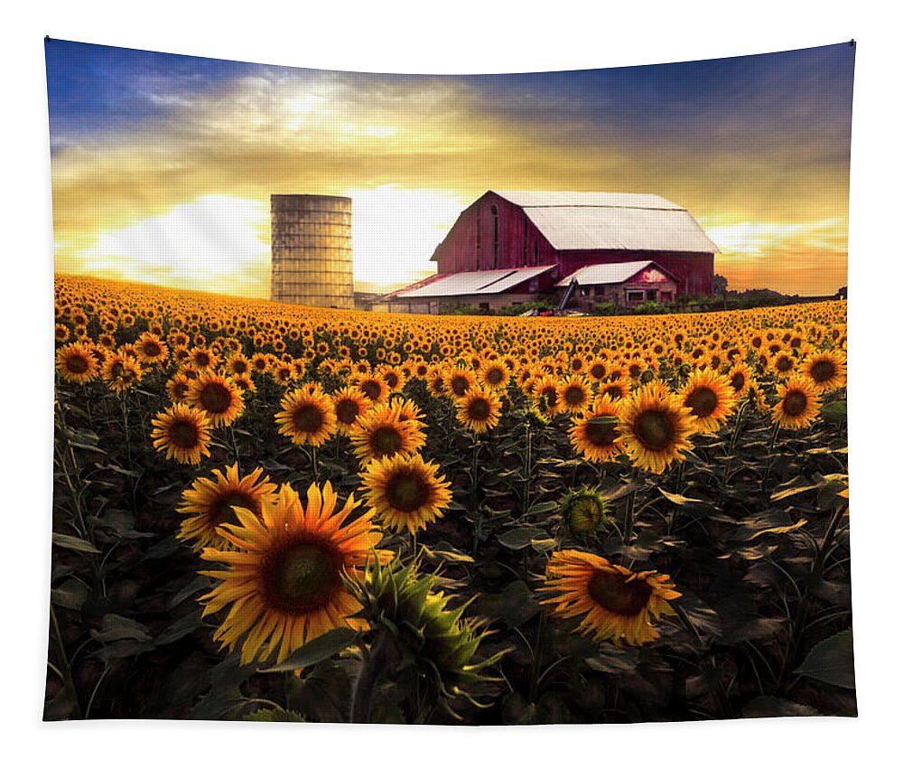 Barns Tapestry featuring the photograph Faces Autumn Painting by Debra and Dave Vanderlaan