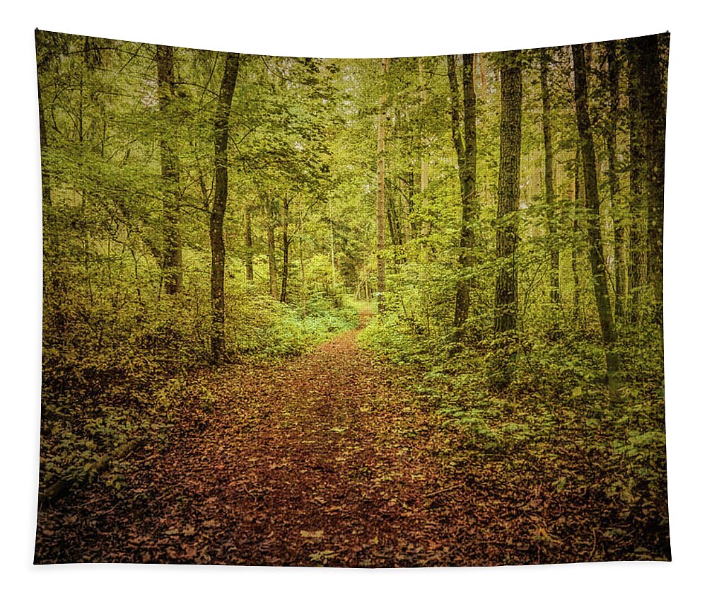 Fairy Forest Tapestry featuring the photograph Fairy forest #i0 by Leif Sohlman