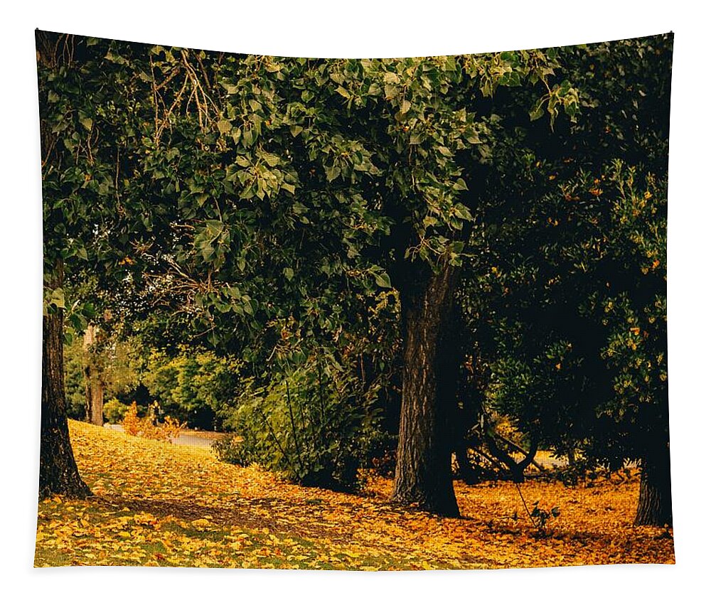 Fall Tapestry featuring the photograph Fall by Anamar Pictures