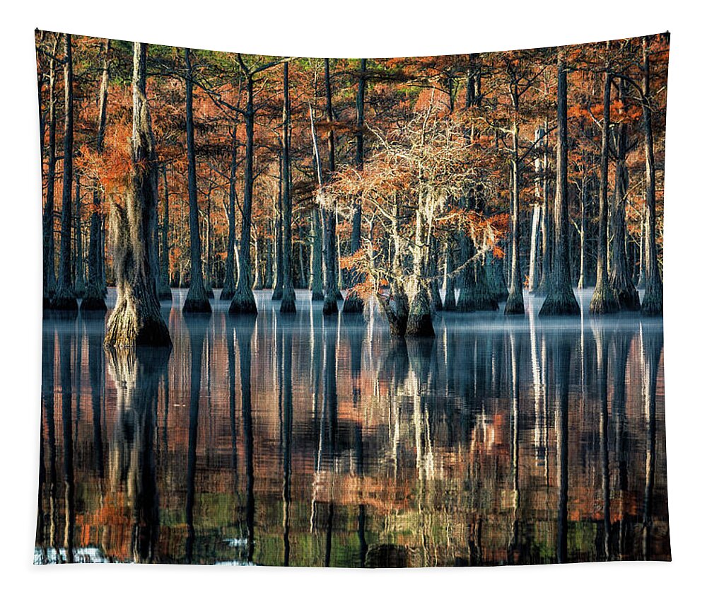 Abstract Tapestry featuring the photograph Fall at Cypress Lake by Alex Mironyuk