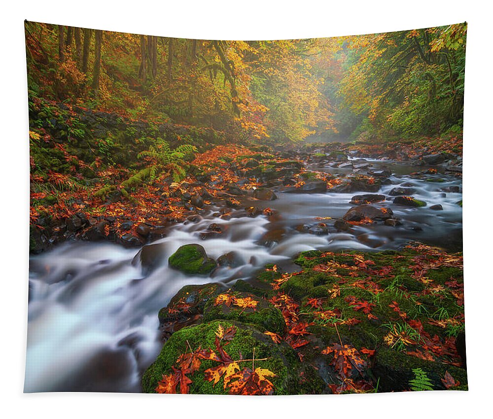 Fall Tapestry featuring the photograph Fall Fantasy 3 by Darren White