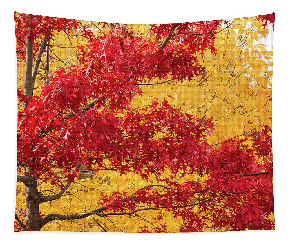 Autumn Tapestry featuring the photograph Fall foliage in Yellow and Red by Cristina Stefan