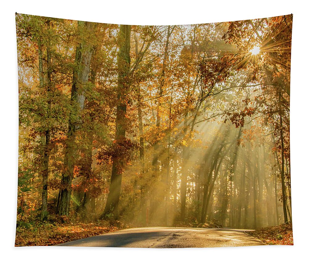 Fall Tapestry featuring the photograph Fall, Glorious Fall by Marcy Wielfaert