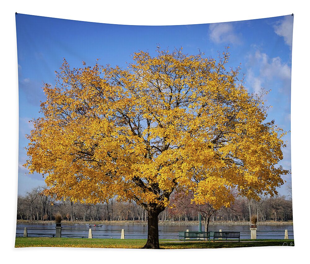 Trees Tapestry featuring the photograph Fall is Golden by Phil S Addis