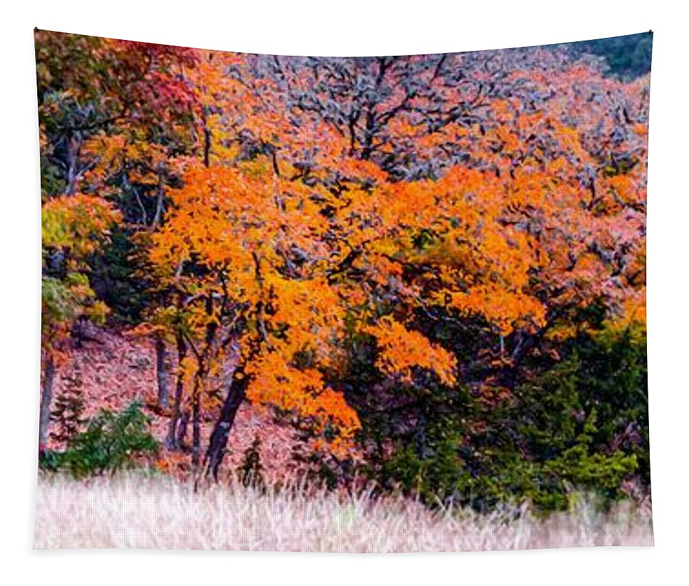Lost Maples Tapestry featuring the photograph Fall Panorama of Changing Bigtooth Maples at Lost Maples State Natural Area - Texas Hill Country by Silvio Ligutti