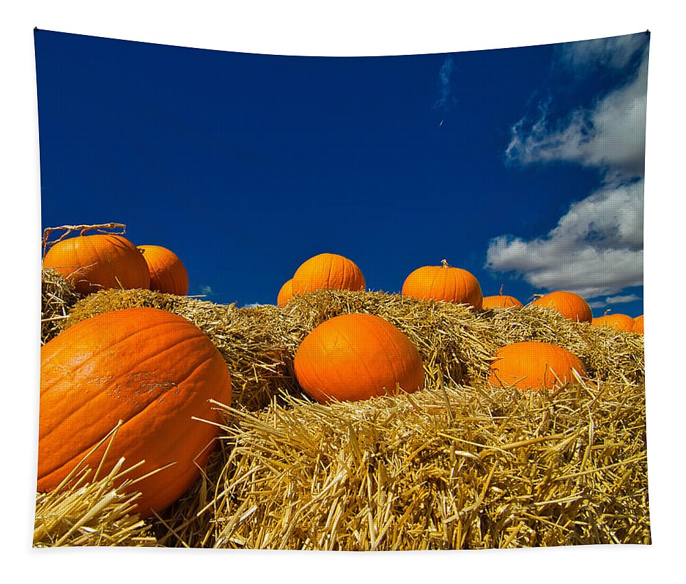 Pumpkins Tapestry featuring the photograph Fall Pumpkins by Tom Gresham