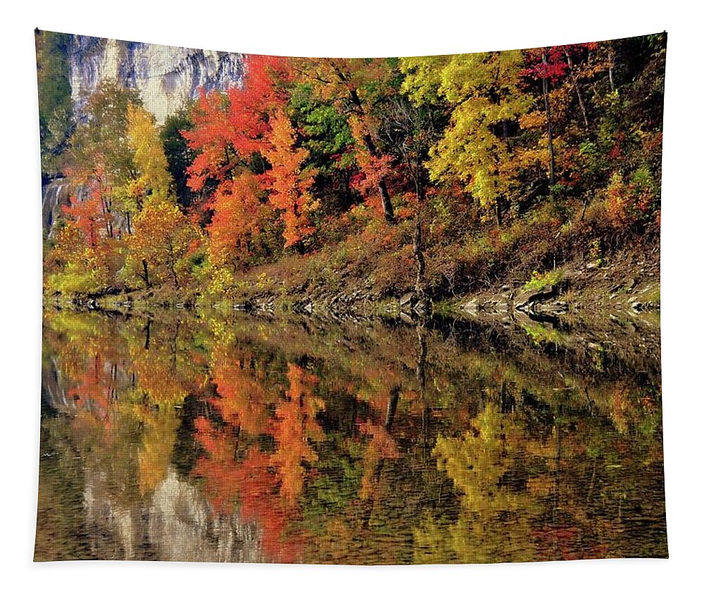 Fall Tapestry featuring the photograph Fall Reflections On The Buffalo by Marty Koch
