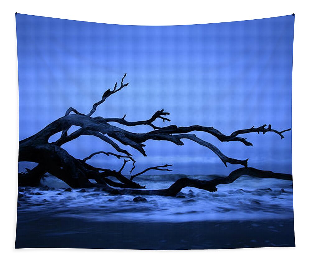 Driftwood Beach Tapestry featuring the photograph Fallen on Jekyll Island by James Covello