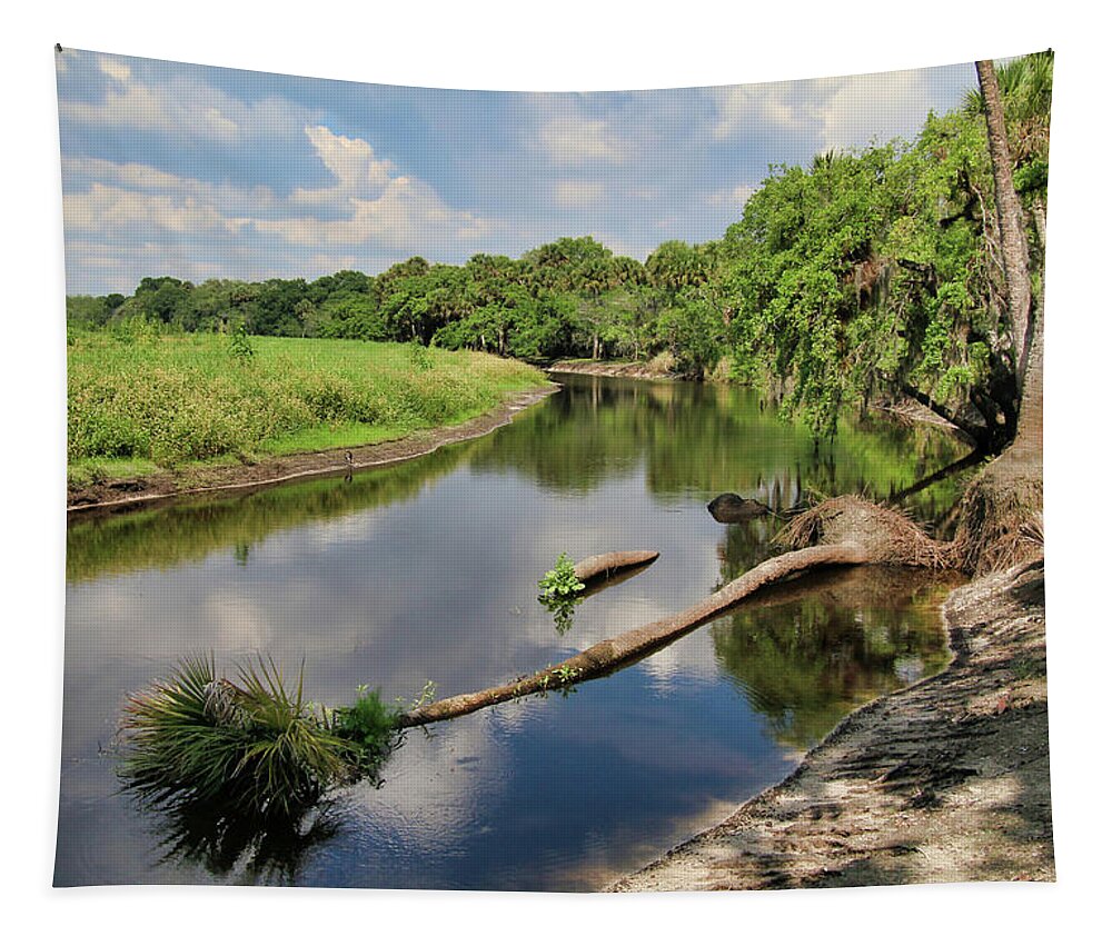 Tree Tapestry featuring the photograph Fallen Palm Tree by Rosalie Scanlon