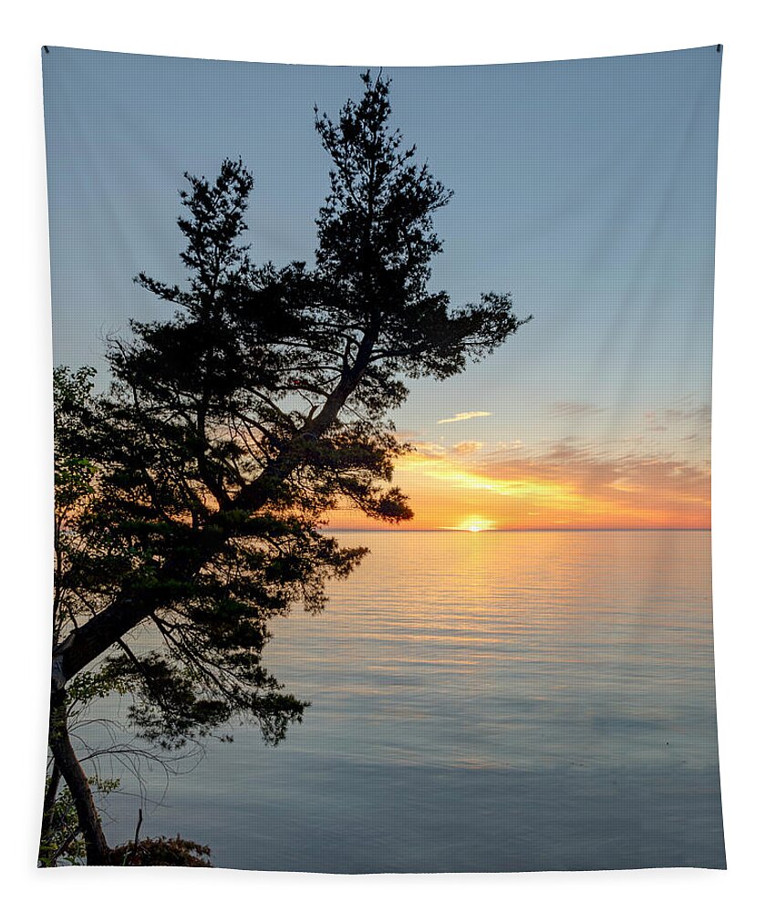 Sunset Tapestry featuring the photograph Fallen Tree II by Rod Best