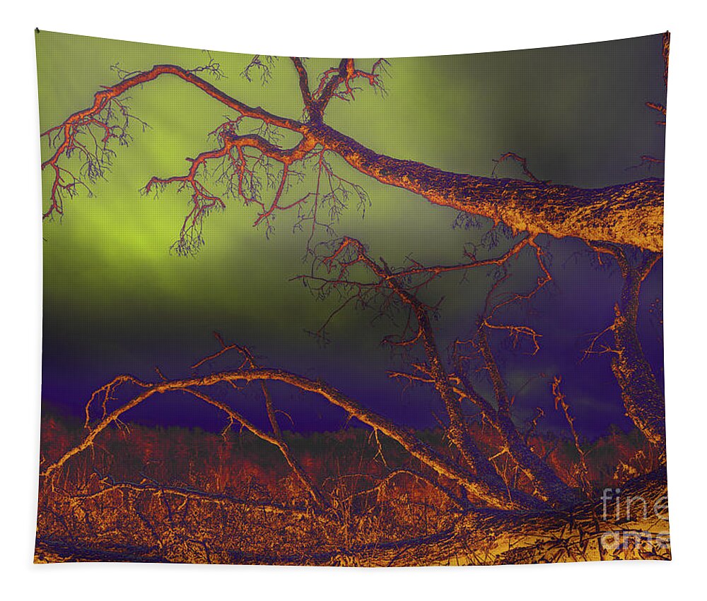 Tree Tapestry featuring the photograph Fallen Tree by Mike Eingle