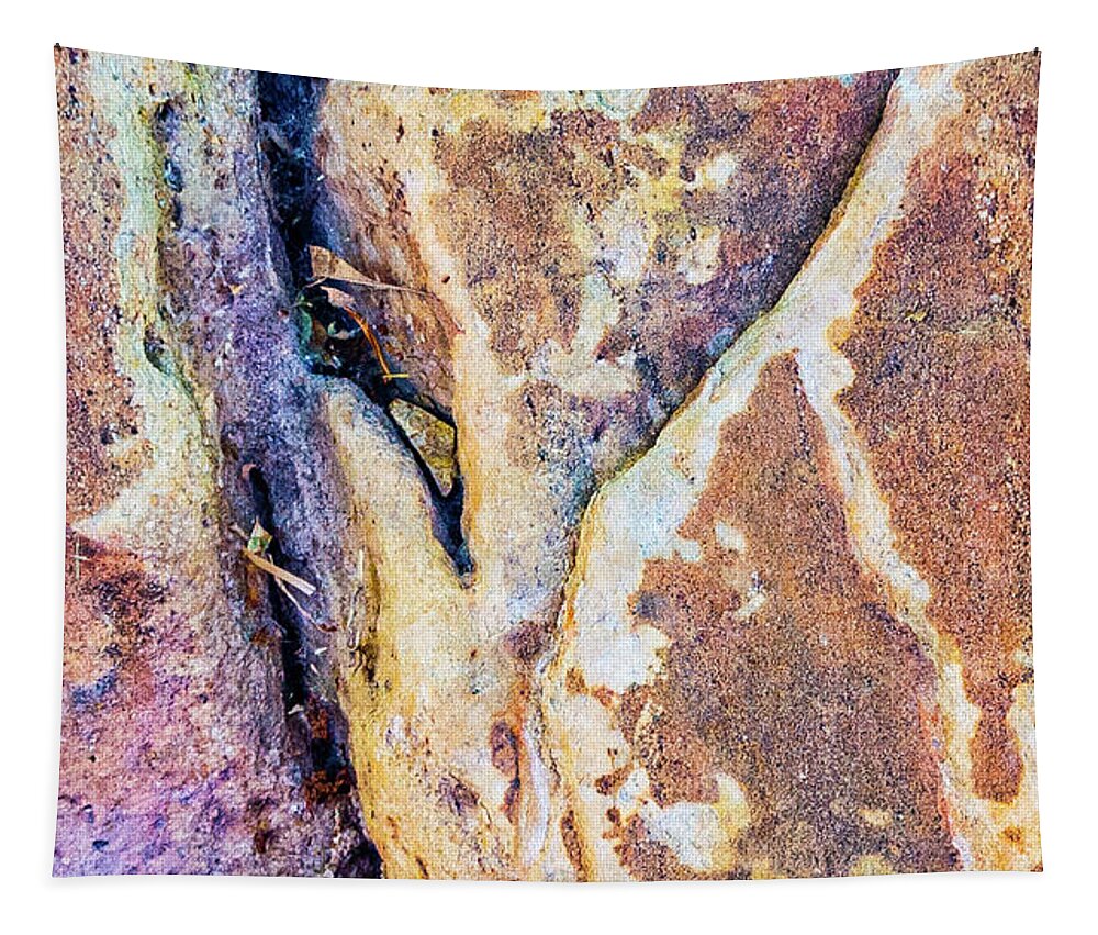 Abstract Tapestry featuring the photograph Fanciful rock by Segura Shaw Photography