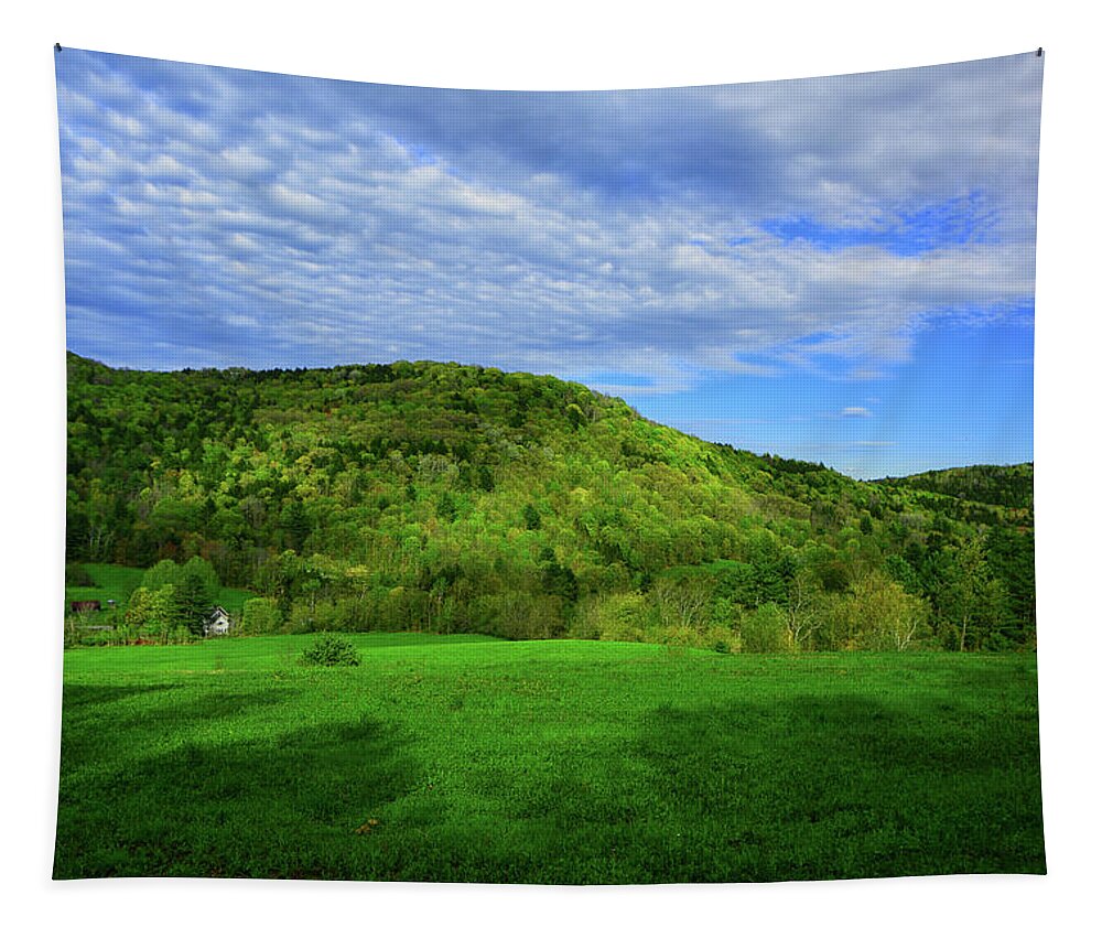 Farm Below On The Vt At Tapestry featuring the photograph Farm Below on the VT AT by Raymond Salani III