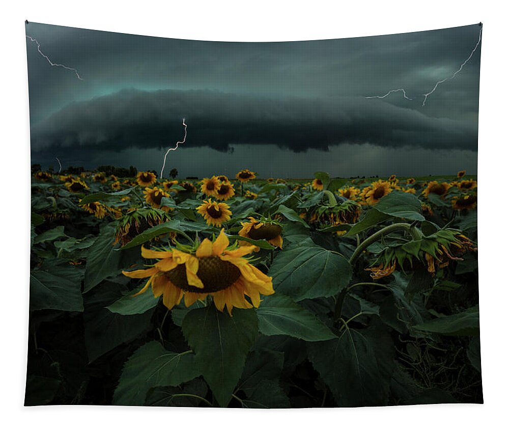 South Dakota Tapestry featuring the photograph Fear Inoculum by Aaron J Groen