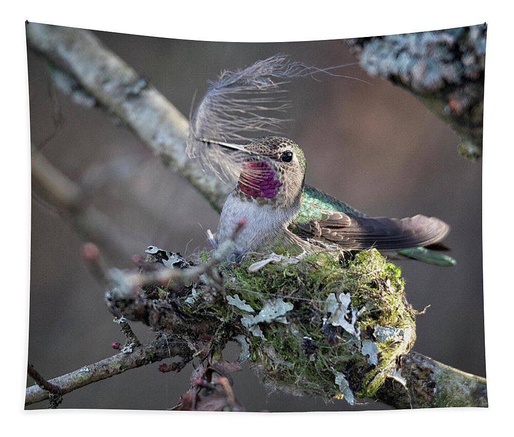 Anna's Hummingbird Tapestry featuring the photograph Feather Bed by Randy Hall