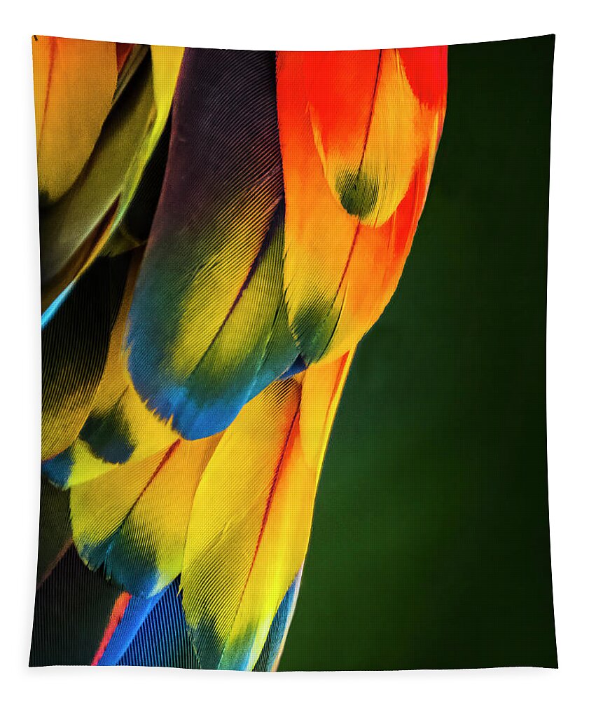 Feathers Tapestry featuring the photograph Feather Rainbow by Ginger Stein