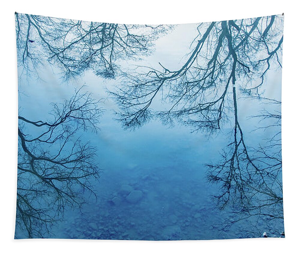 Foggy Tapestry featuring the photograph Feathery Foggy Reflections in Blue by Marcy Wielfaert
