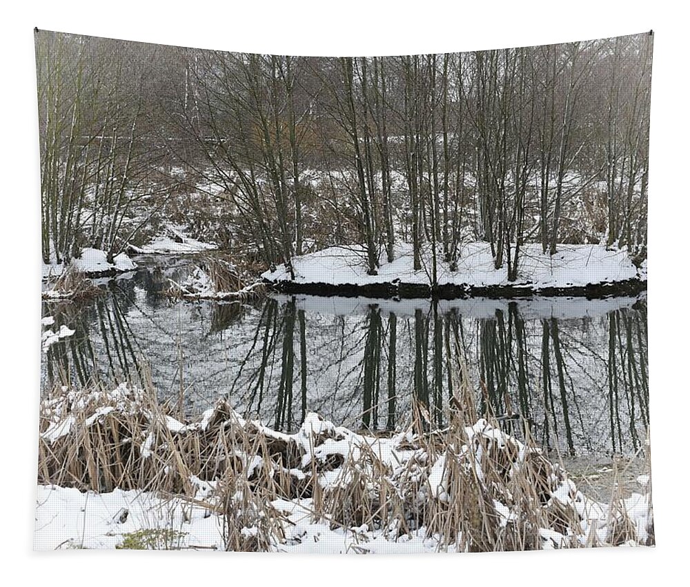 Waterscape Tapestry featuring the photograph February Afternoon by Bonnie Bruno