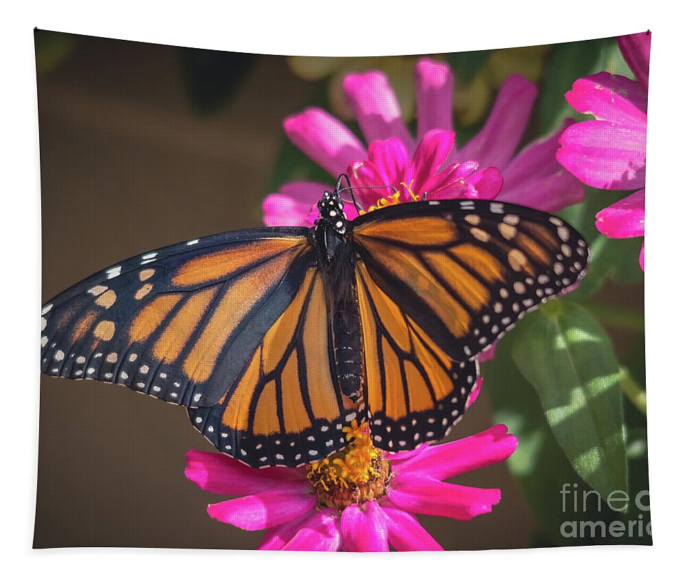 Cheryl Baxter Photography Tapestry featuring the photograph Female Monarch by Cheryl Baxter